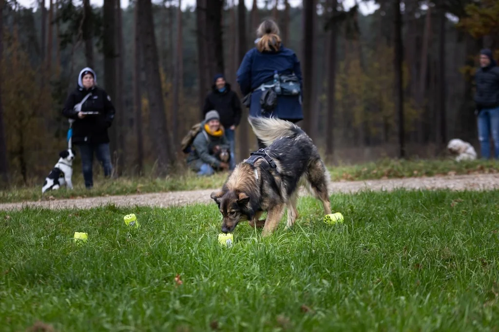 Hund und Honig, Nadine Roth mit Hund